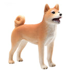 Mojo - farmland shiba inu - 387140