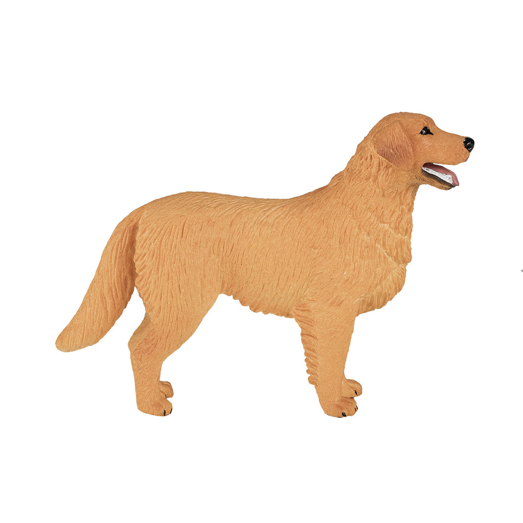 MOJO - MOJO farmland golden retriever - 387198