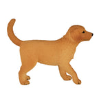 Mojo farmland golden retriever puppy - 387205