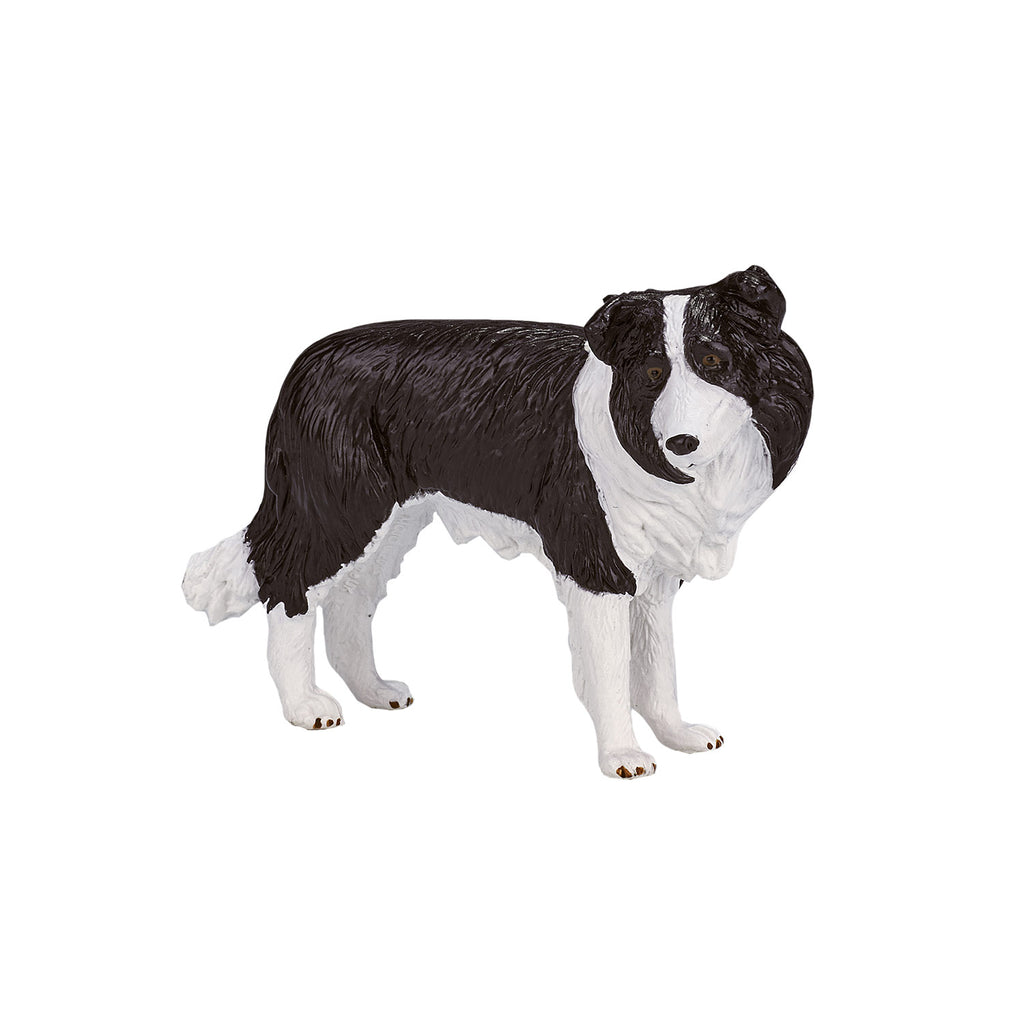 Mojo farmland border collie - 387203