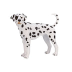 Mojo farmland dalmatiër - 387248