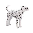 Mojo farmland dalmatiër - 387248