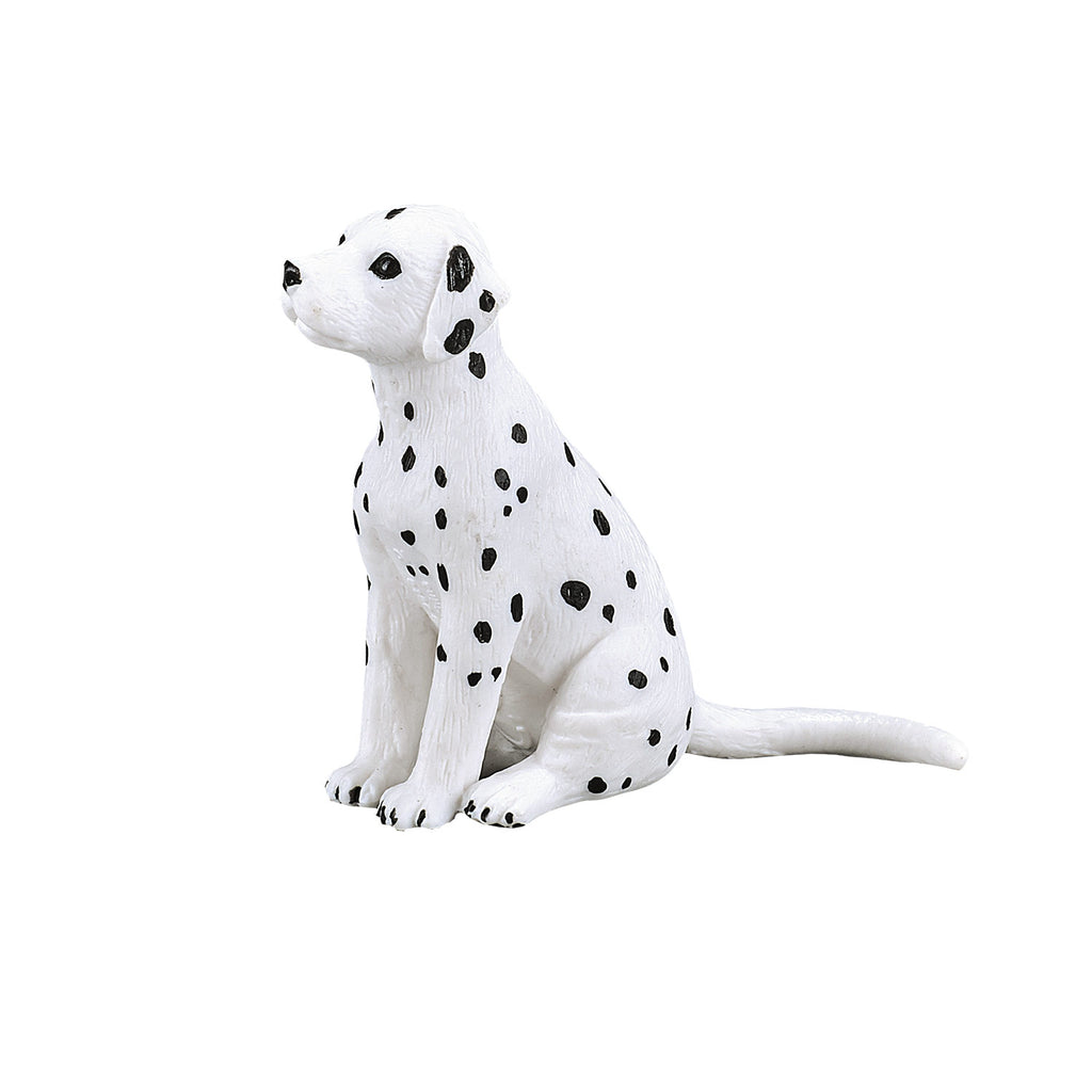 Mojo - farmland dalmatische puppy - 387249