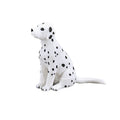 Mojo - farmland dalmatische puppy - 387249