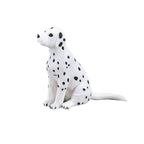 Mojo - farmland dalmatische puppy - 387249