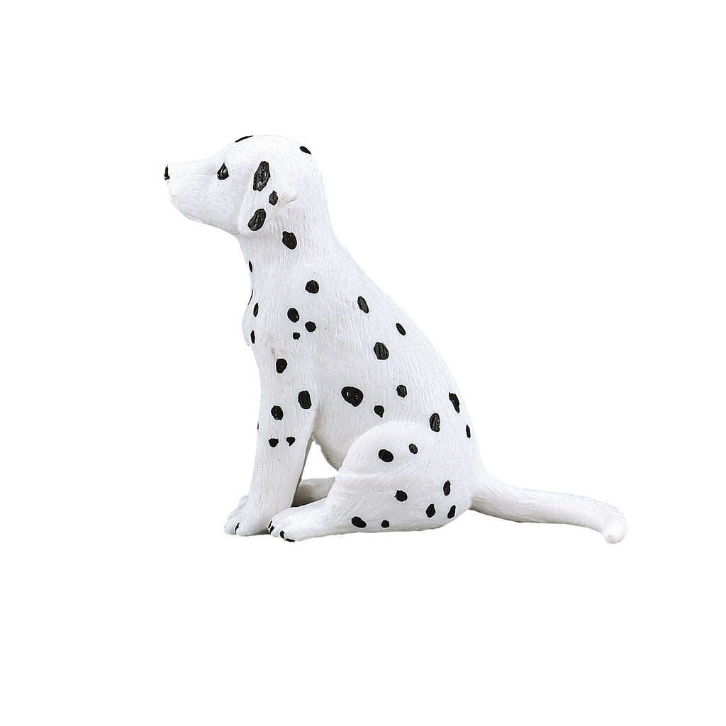 Mojo - farmland dalmatische puppy - 387249