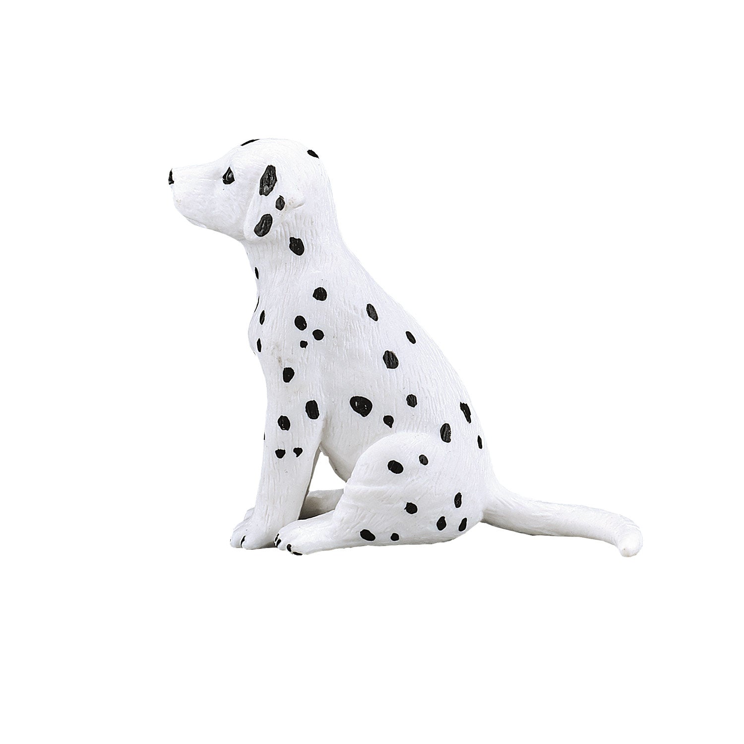 Mojo - farmland dalmatische puppy - 387249