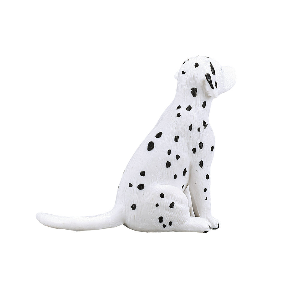 Mojo - farmland dalmatische puppy - 387249
