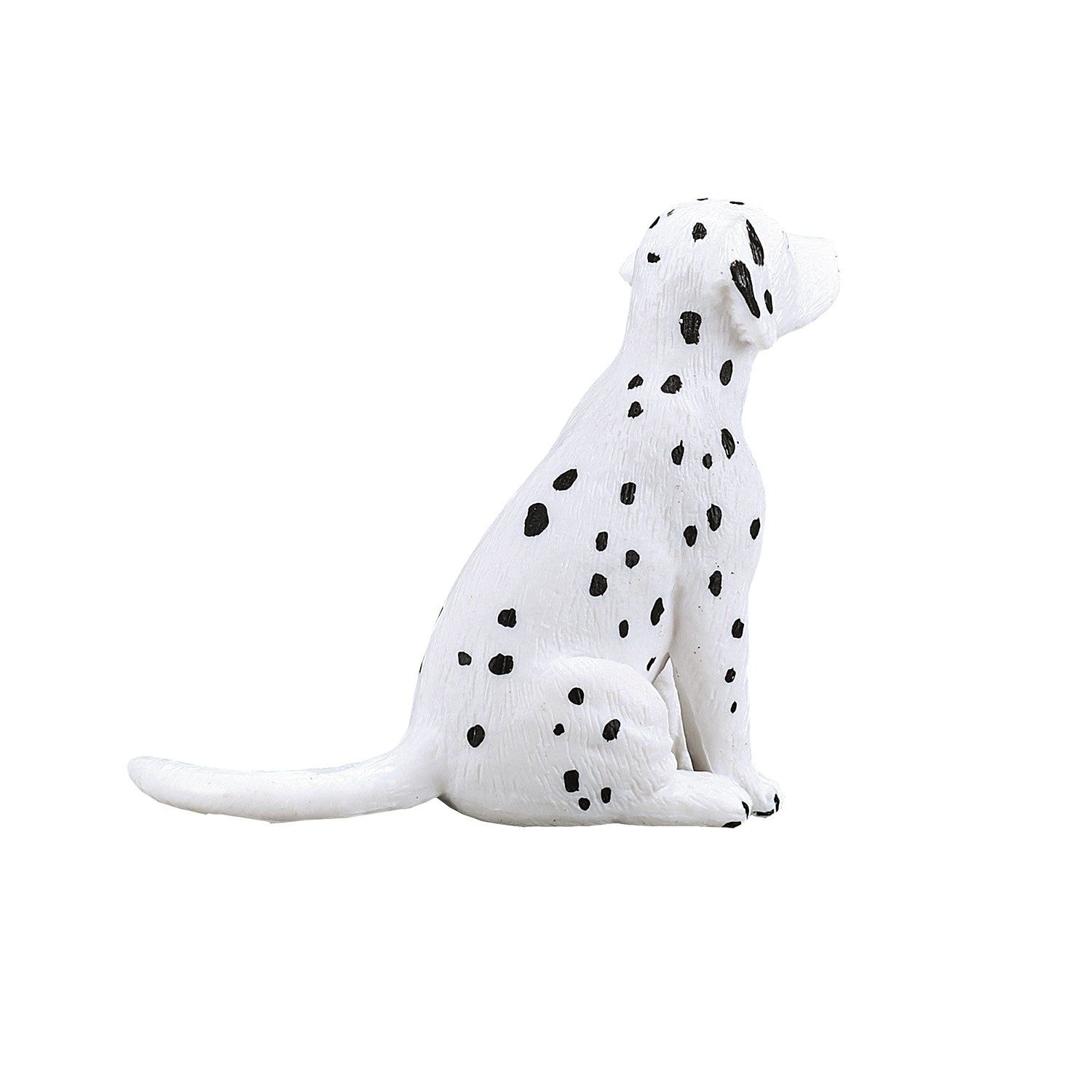 Mojo - farmland dalmatische puppy - 387249