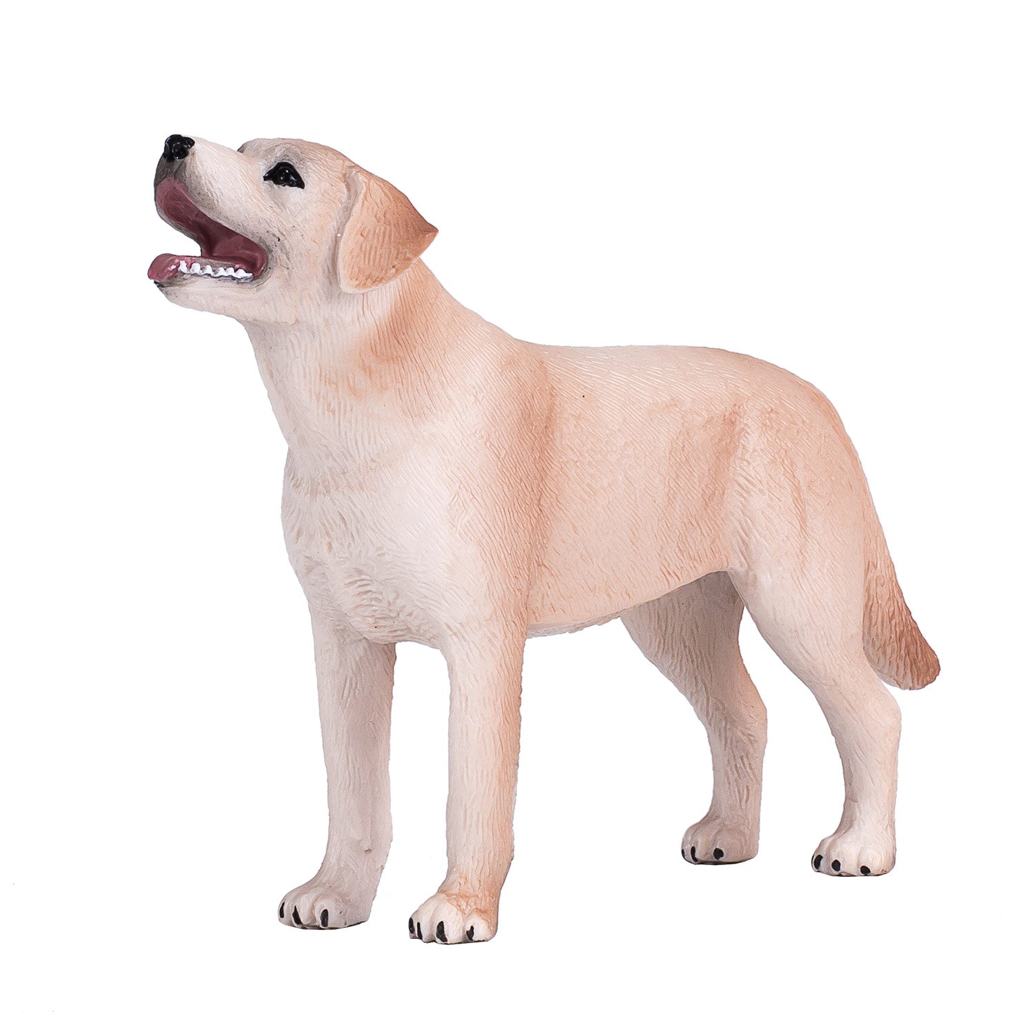 Mojo - farmland labrador - 387271