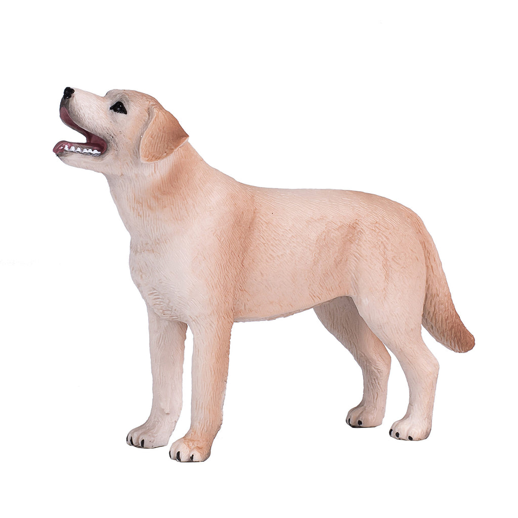 Mojo - farmland labrador - 387271