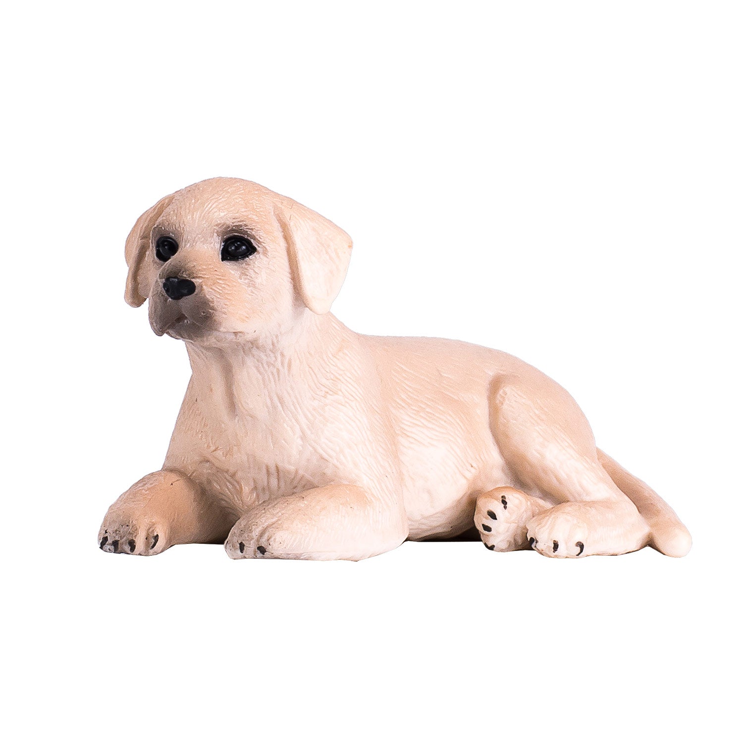 Mojo - farmland labrador puppy - 387272