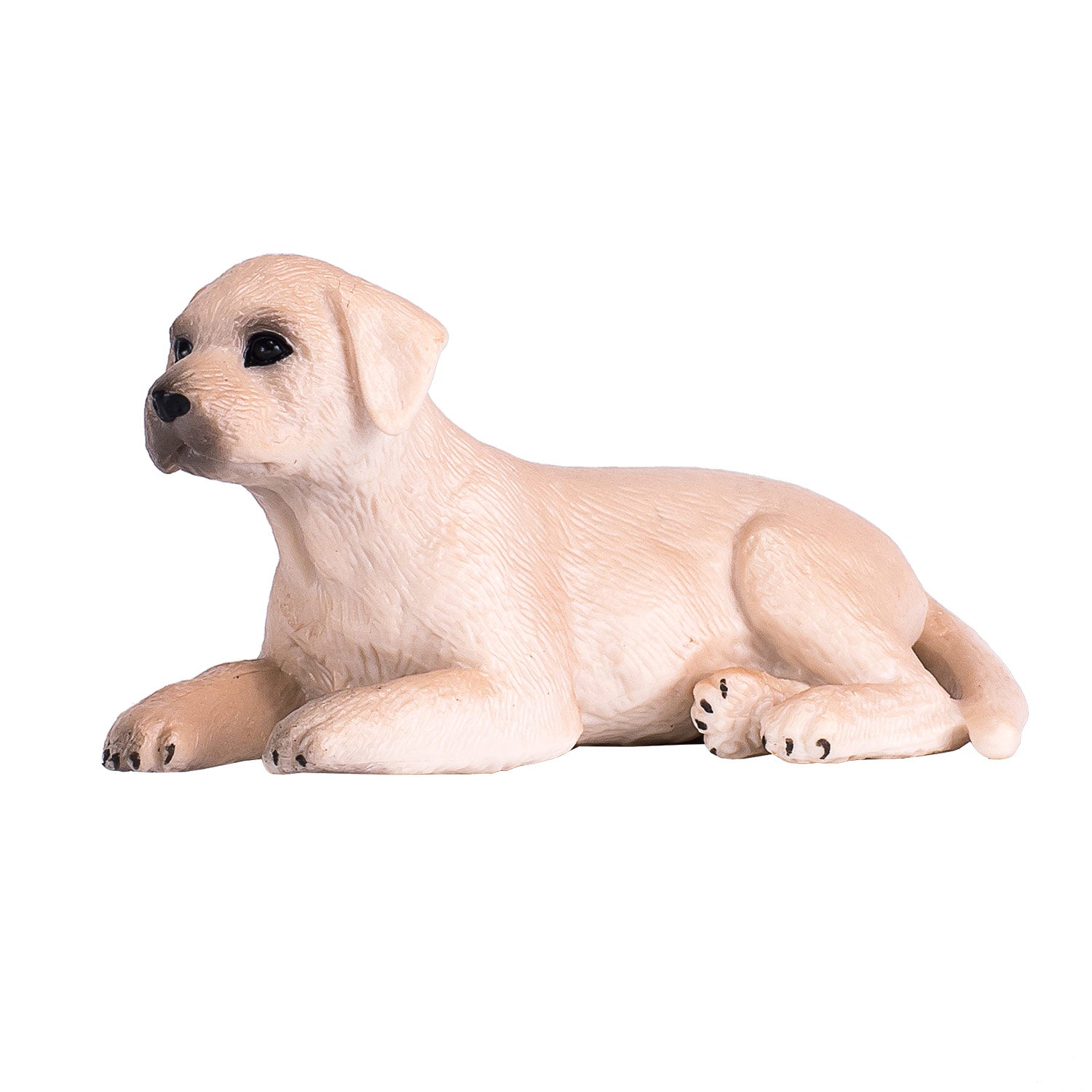 Mojo - farmland labrador puppy - 387272