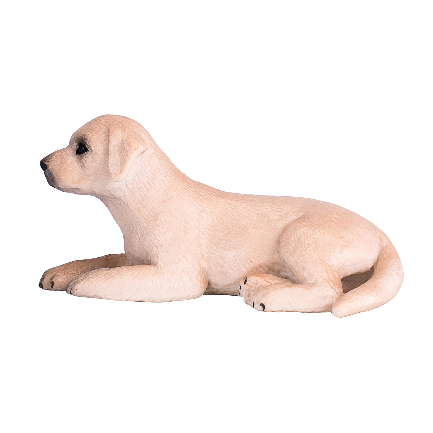 Mojo - farmland labrador puppy - 387272