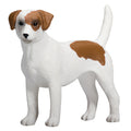 Mojo farmland jack russell terriër - 387286