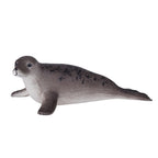 Mojo farmland grijze zeehond - 387091
