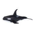 Mojo - sealife mannelijke orka - 387114