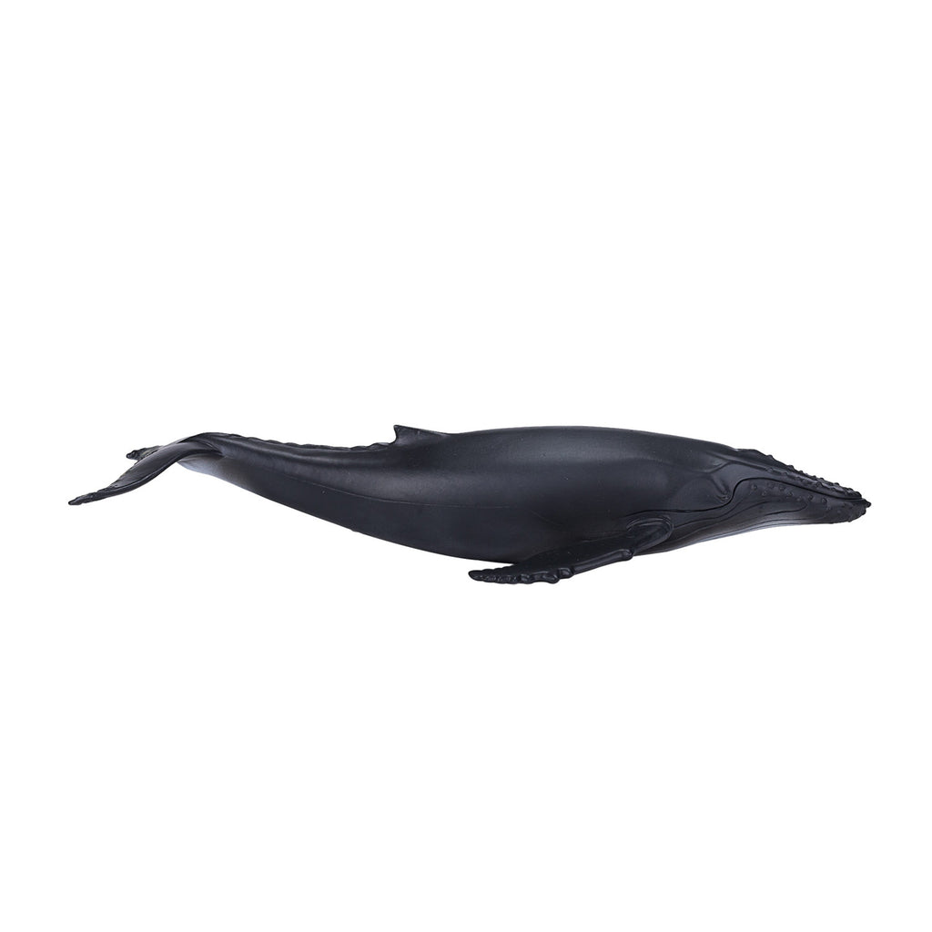 Mojo - sealife bultrug - 387119