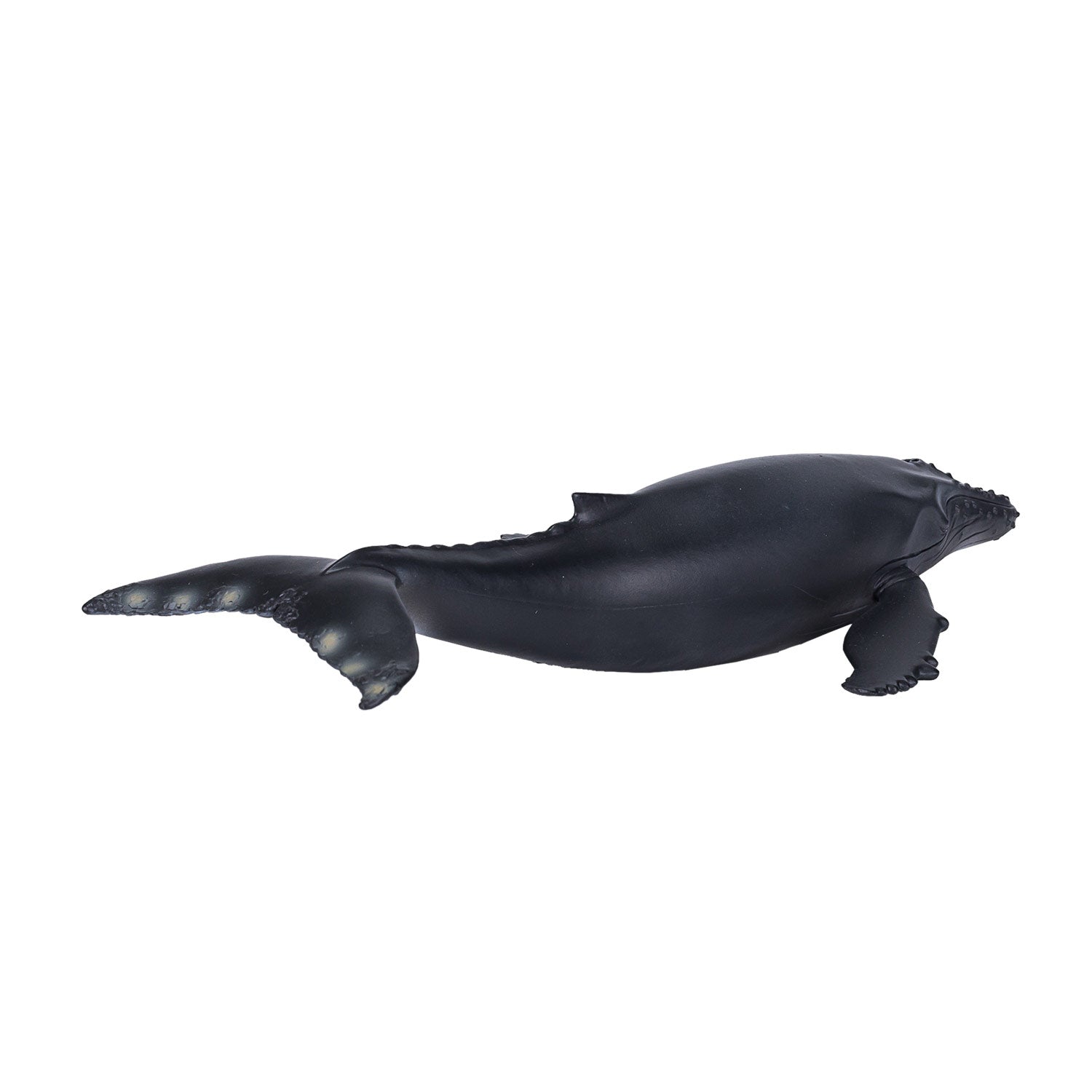 Mojo - sealife bultrug - 387119