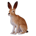 Mojo wildlife haas - 381072