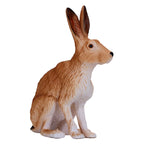MOJO - MOJO wildlife haas - 381072