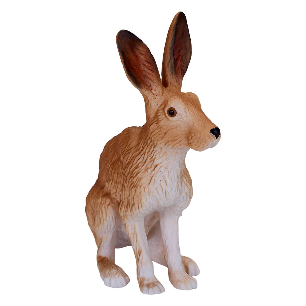 MOJO - MOJO wildlife haas - 381072