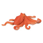 MOJO - MOJO sealife octopus - 381036