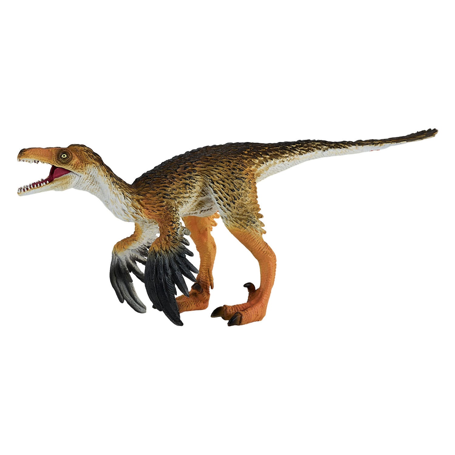 Mojo - prehistorie troodon met beweegbare kaak - 381089