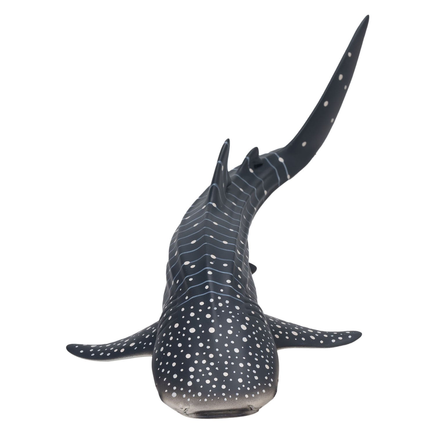 Mojo - sealife walvishaai - 381038