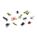 Mojo - wildlife mini insecten en spinnen 12dlg. - 380058