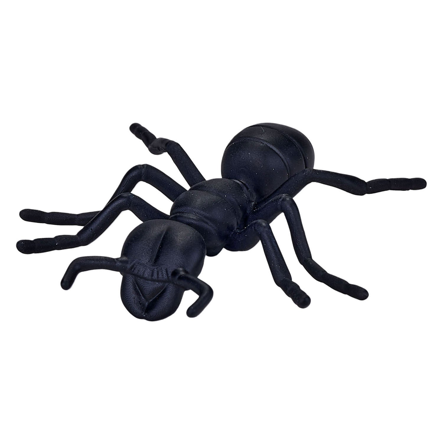 Mojo - wildlife mini insecten en spinnen 12dlg. - 380058