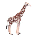 Mojo - wildlife wilde dieren safari speelset 6dlg. - 380026