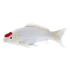 Mojo sealife koi karper - tancho koi - 381101