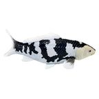 Mojo - sealife koi karper - shiro utsuri koi - 381102