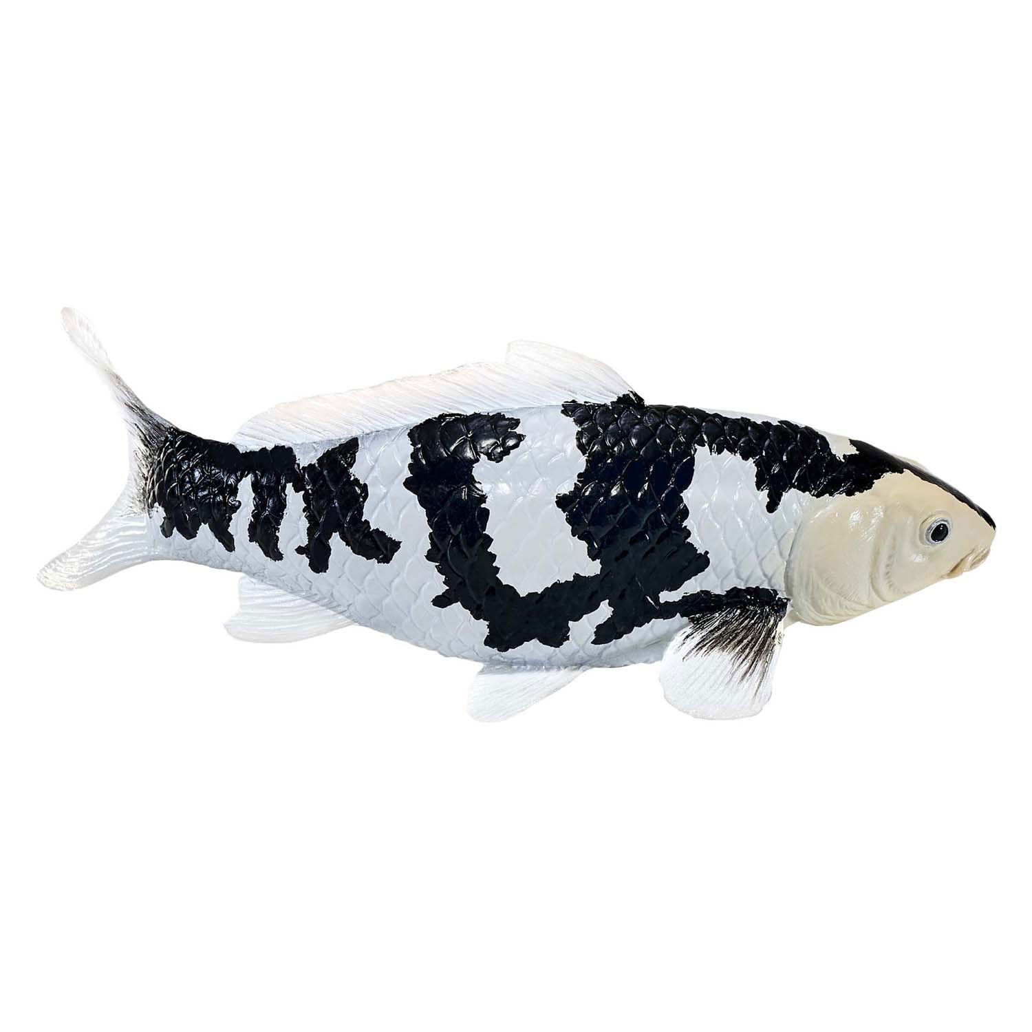 Mojo - sealife koi karper - shiro utsuri koi - 381102