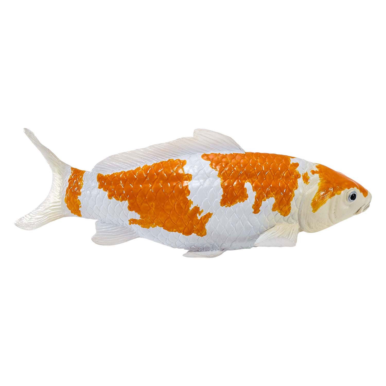 Mojo - sealife koi karper - ochiba shigure koi - 381104