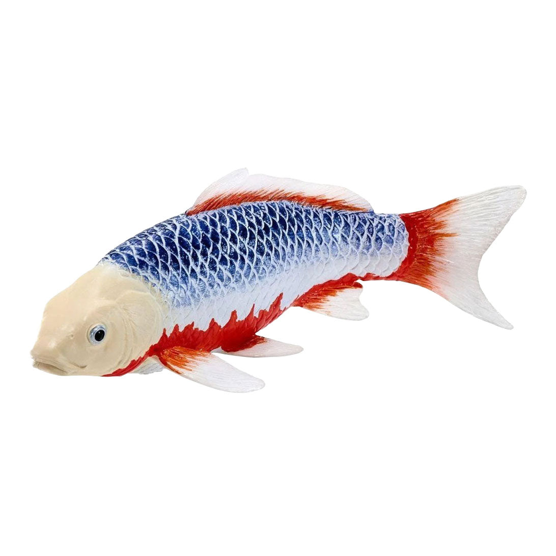 Mojo - koi collection - asagi koi blauw rood 381118
