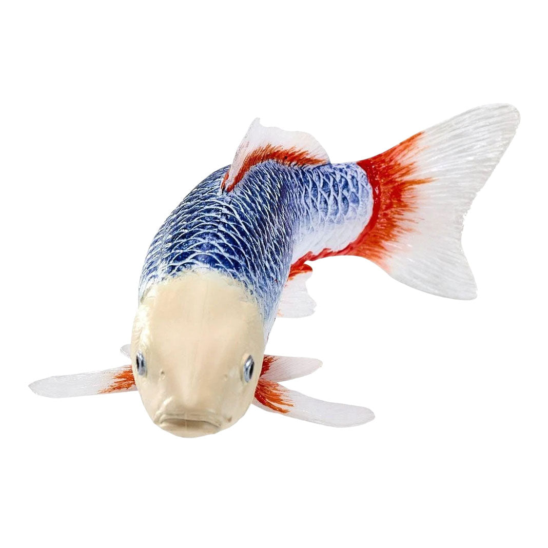 Mojo - koi collection - asagi koi blauw rood 381118