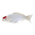 Mojo - koi collection - tancho koi rode stippen 381119