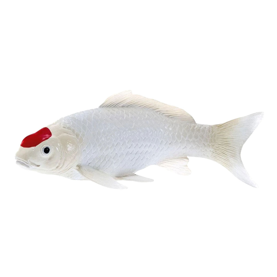 Mojo - koi collection - tancho koi rode stippen 381119