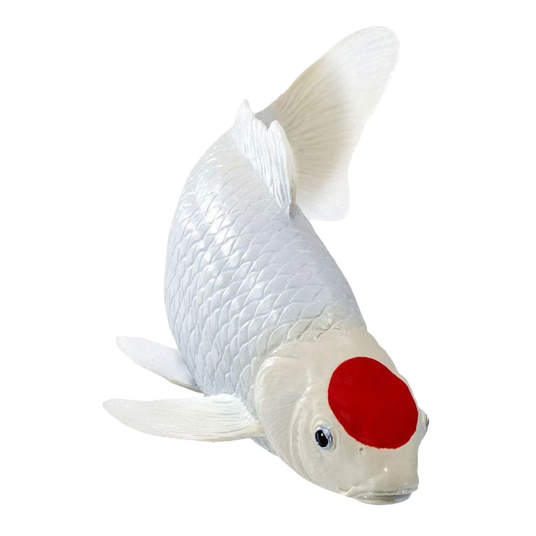 Mojo - koi collection - tancho koi rode stippen 381119