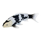 Mojo - koi collection - shiro utsuri koi zwart wit 381120