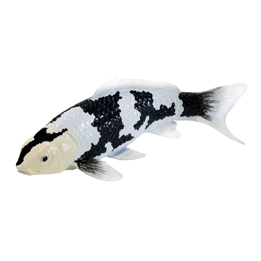 Mojo - koi collection - shiro utsuri koi zwart wit 381120