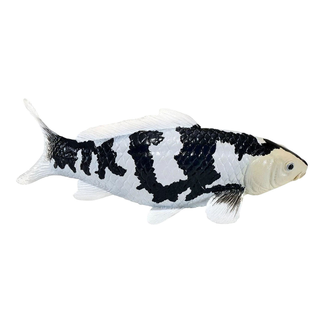 Mojo - koi collection - shiro utsuri koi zwart wit 381120