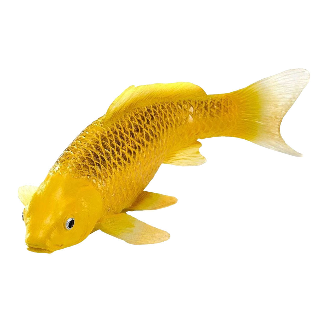Mojo - koi collection - kin matsuba koi goud 381123