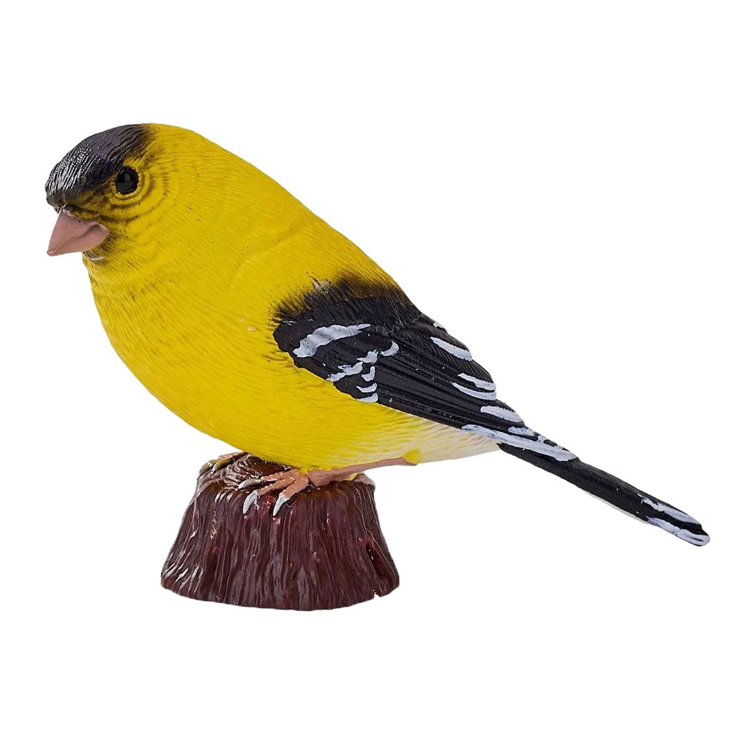 Mojo - garden birds amerikaanse distelvink 381125