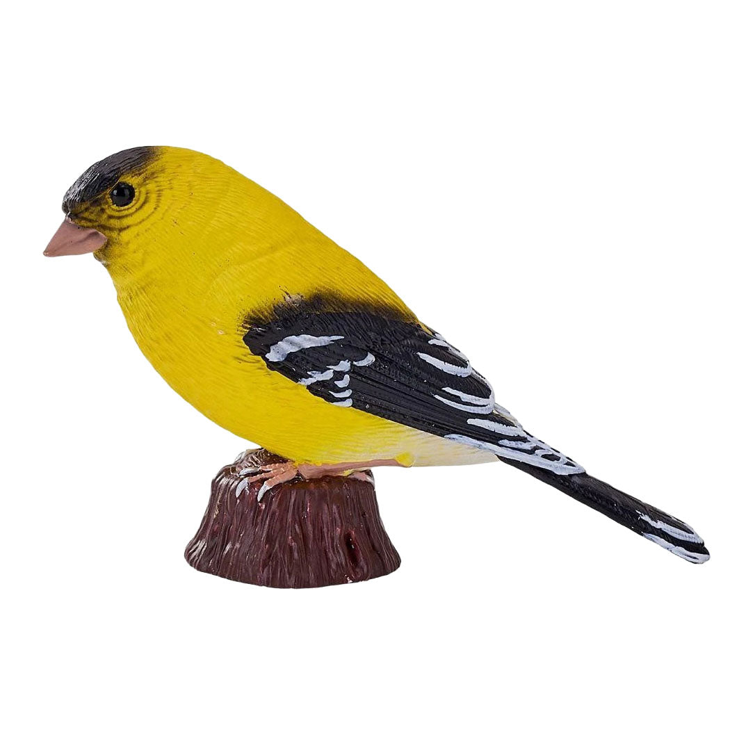 Mojo - garden birds amerikaanse distelvink 381125