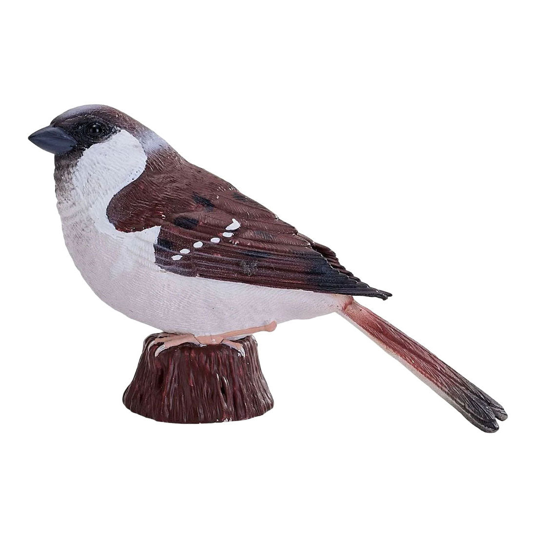 Mojo - garden birds huismus 381128