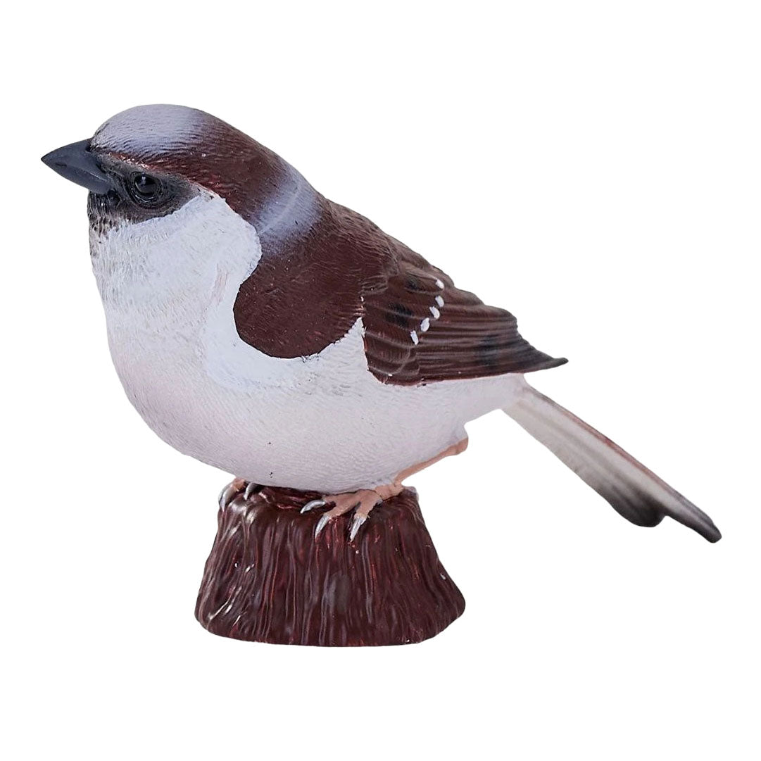 Mojo - garden birds huismus 381128