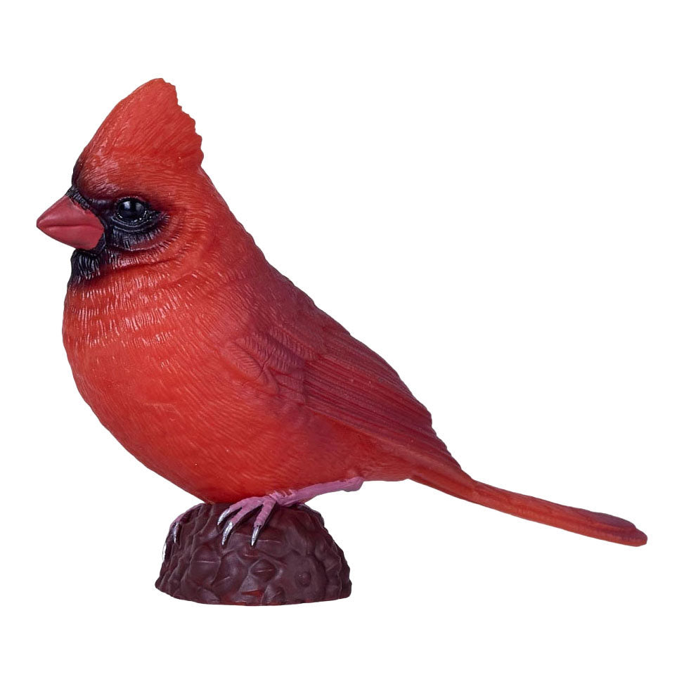 Mojo - garden birds rode kardinaal 381131